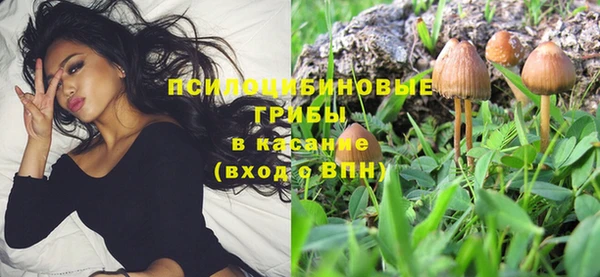 apvp Алексеевка
