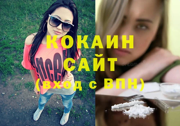 амф Алексин