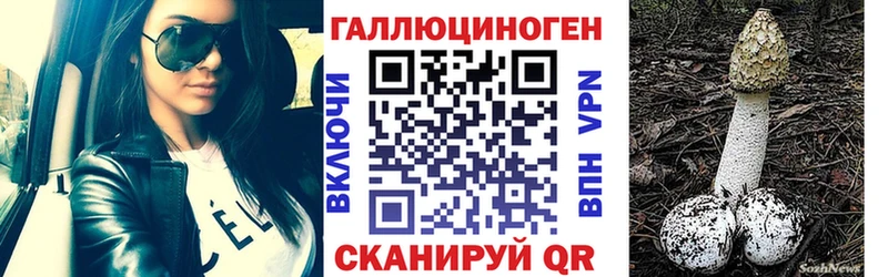 MEGA как зайти  Подольск  Псилоцибиновые грибы прущие грибы 